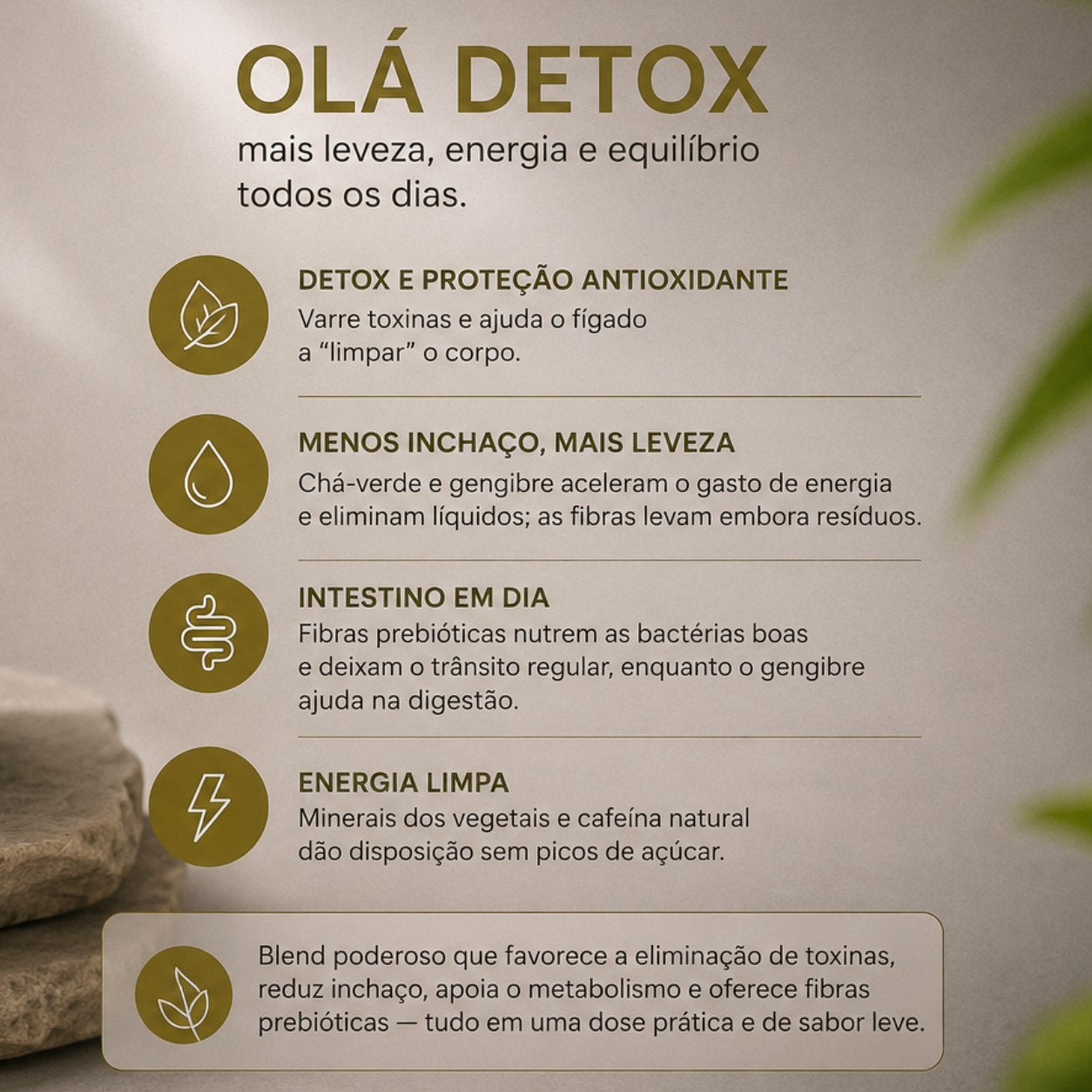 Olá Detox – Blend Natural em Pó para Leveza e Vitalidade